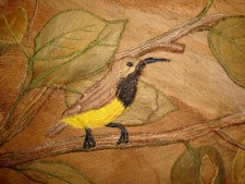 sunbirds detail
